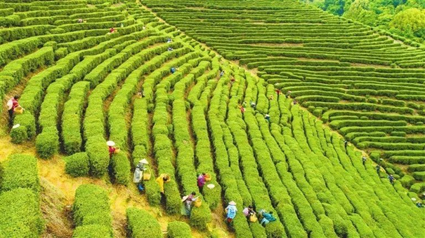 圖片關鍵詞 圖片關鍵詞